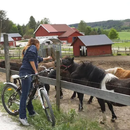 Tuneheimen *