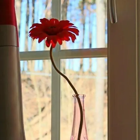 Tuneheimen 사릅스보르그